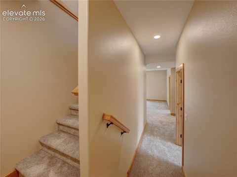 Tiny photo for 748 Pinewood Road, Florissant, CO 80816 (MLS # 3315007)