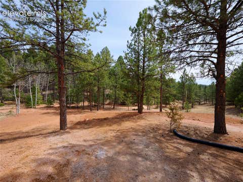 Tiny photo for 748 Pinewood Road, Florissant, CO 80816 (MLS # 3315007)