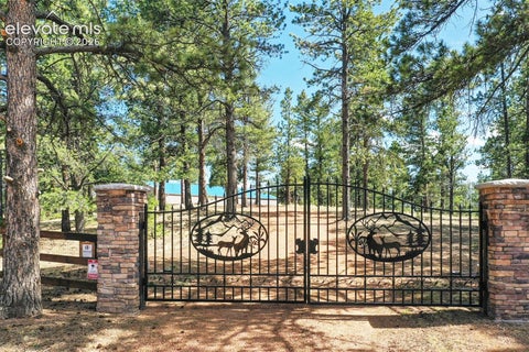 Tiny photo for 2754 County Road 421, Florissant, CO 80816 (MLS # 1175562)