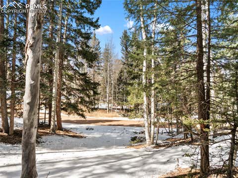 Photo of 358 Pawutsy Road, Florissant, CO 80816 (MLS # 2397283)