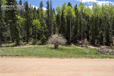 Photo of 546 Spring Valley Lane, Florissant, CO 80816 (MLS # 3345627)