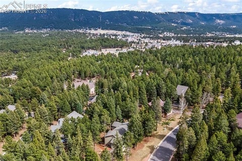 Tiny photo for 1308 Spruce Ridge Lane, Woodland Park, CO 80863 (MLS # 7984273)