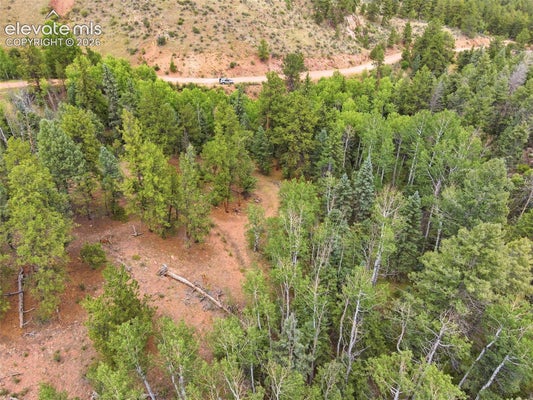 1310 PARK RIDGE DR, GUFFEY, CO 80820 - Image 5a6cb3f138caee0ffa9f3e8f59da351d/3123825602