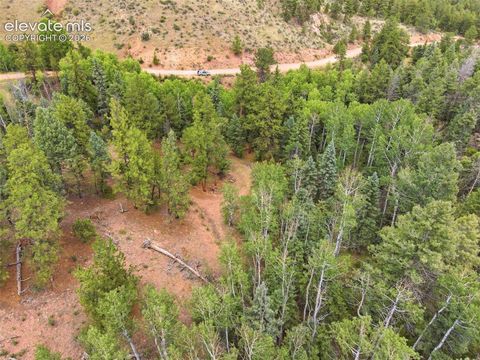 Photo of 1310 Park Ridge Drive, Guffey, CO 80820 (MLS # 3518958)
