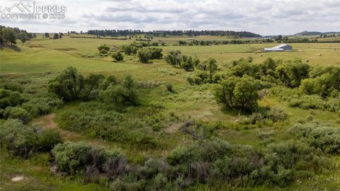 Photo of 11503 E Smith Road, Elbert, CO 80106 (MLS # 3787323)