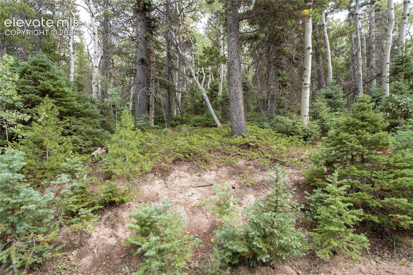 Lot 2660 Speciale Place