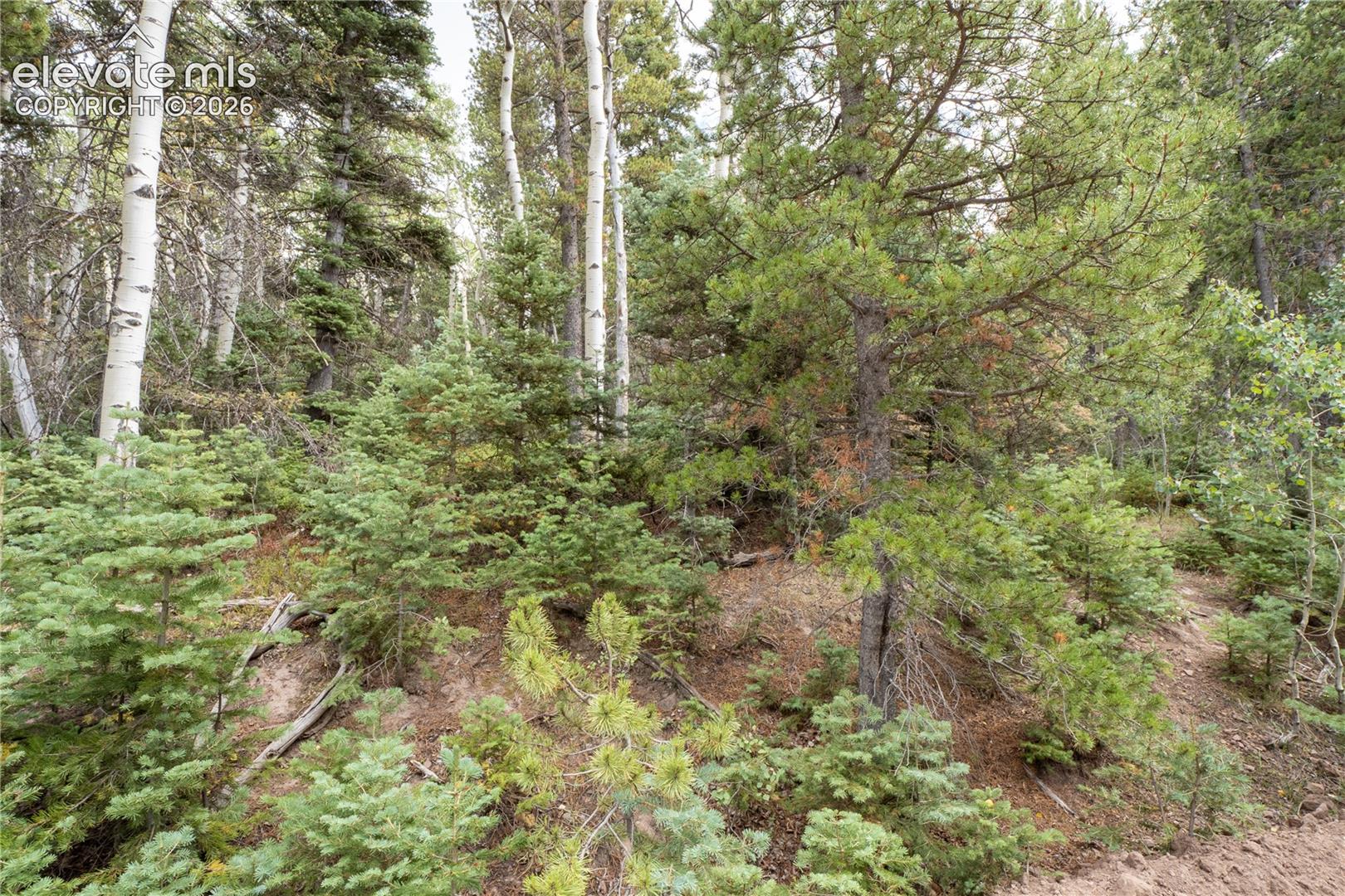 Lot 2660 Speciale Place