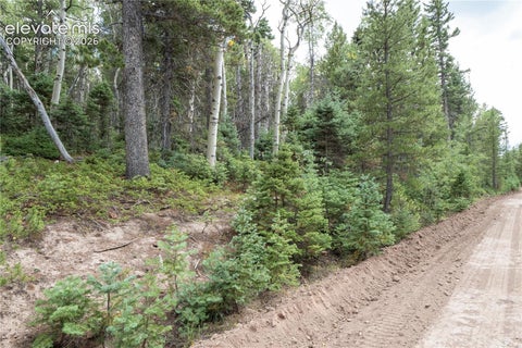 Photo of 2660 Speciale Place, Fort Garland, CO 81133 (MLS # 5875975)
