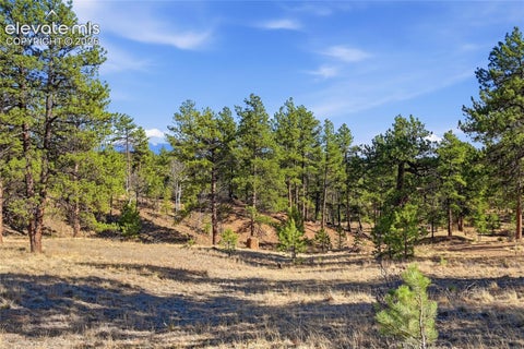 Tiny photo for 556 Circle Drive, Florissant, CO 80816 (MLS # 8270981)