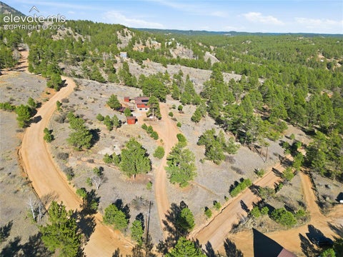 Tiny photo for 556 Circle Drive, Florissant, CO 80816 (MLS # 8270981)