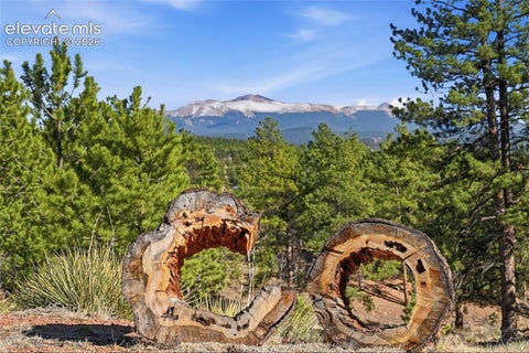 Tiny photo for 556 Circle Drive, Florissant, CO 80816 (MLS # 8270981)