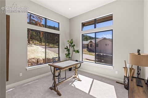 Tiny photo for 1405 Red Haven Place, Woodland Park, CO 80863 (MLS # 3800721)