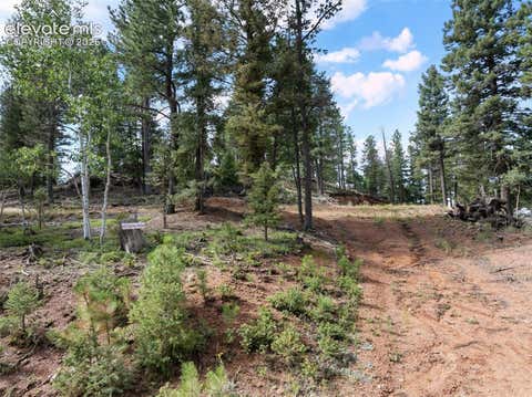 Photo of 422 Spring Valley Drive, Divide, CO 80814 (MLS # 9836256)