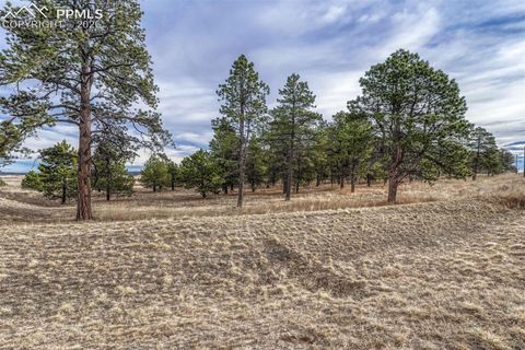 Photo of 16511 Early Light Drive, Colorado Springs, CO 80908 (MLS # 1380880)
