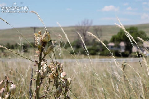 Photo of 5 McClelland Road, Calhan, CO 80808 (MLS # 7722884)