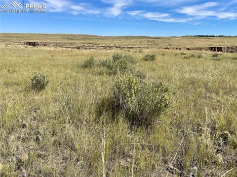 Photo of 17 County Road 77, Calhan, CO 80808 (MLS # 5278727)