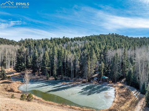 Tiny photo for 528 Mohawk Heights, Florissant, CO 80816 (MLS # 9606052)