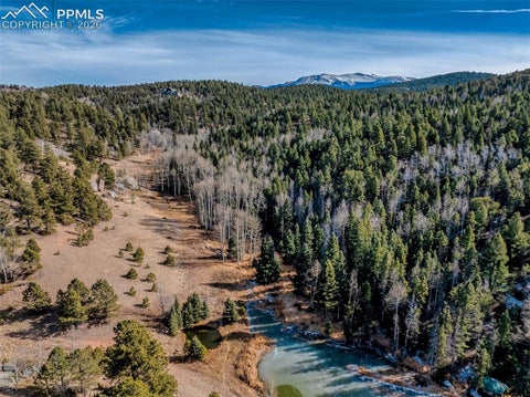 Tiny photo for 528 Mohawk Heights, Florissant, CO 80816 (MLS # 9606052)