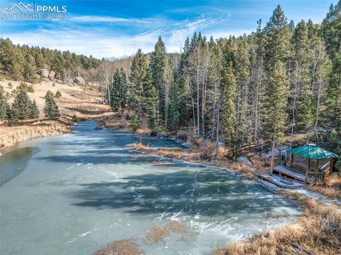 Tiny photo for 528 Mohawk Heights, Florissant, CO 80816 (MLS # 9606052)