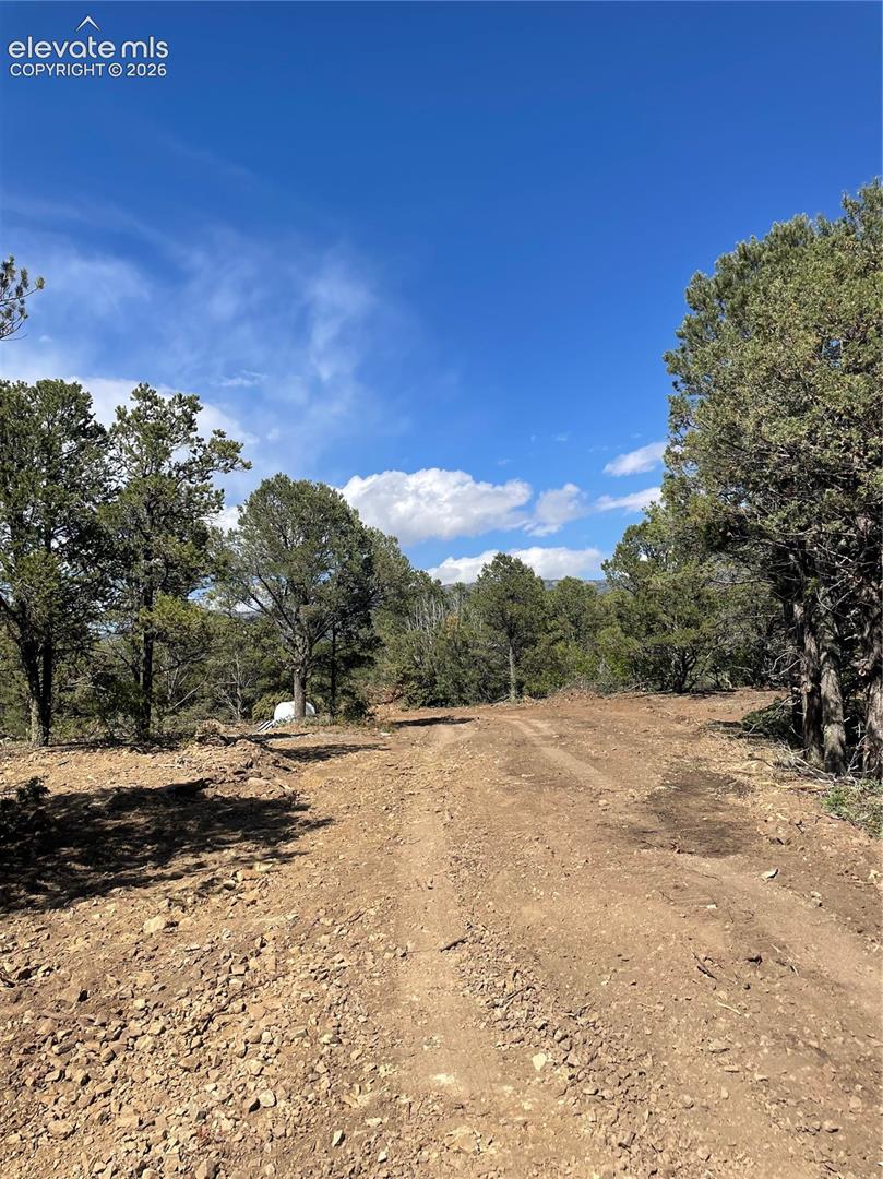 329 Fishers Peak Parkway