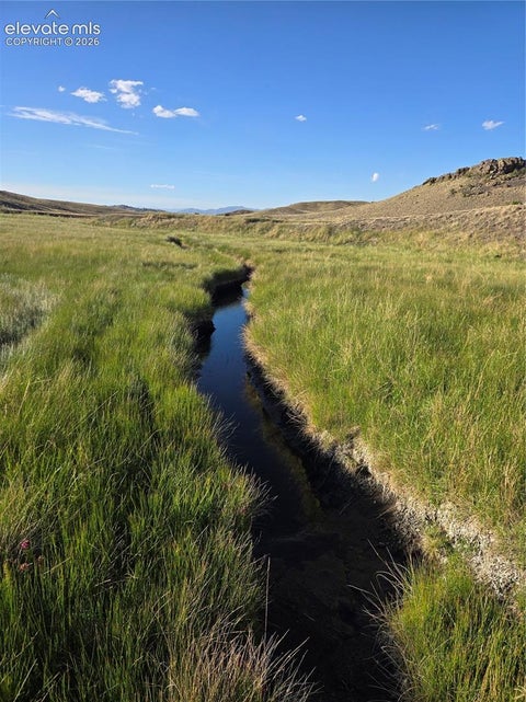 Tiny photo for 74 Dwyer Trail, Hartsel, CO 80449 (MLS # 4542039)