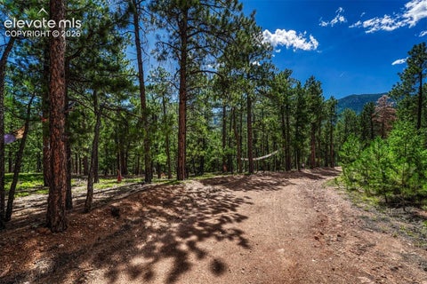 Tiny photo for 3620 Simon Point, Colorado Springs, CO 80906 (MLS # 3560879)