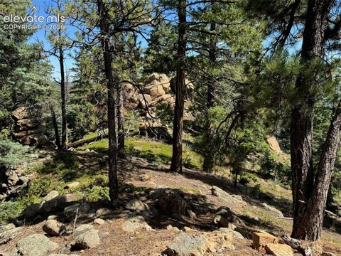 Tiny photo for 3620 Simon Point, Colorado Springs, CO 80906 (MLS # 3560879)