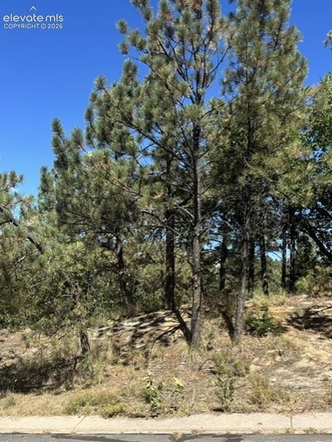 Photo of 5831 Spurwood Court, Colorado Springs, CO 80918 (MLS # 7905683)