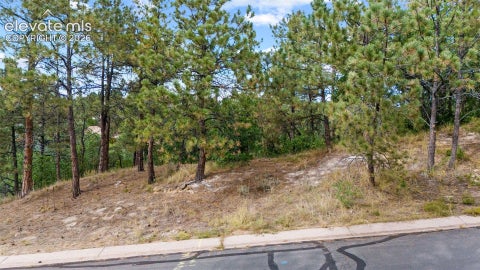 Photo of 5831 Spurwood Court, Colorado Springs, CO 80918 (MLS # 7905683)