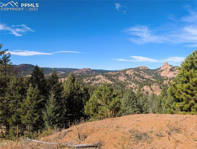 130 Lookout Road