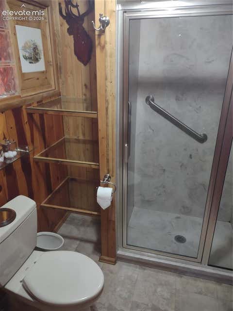 Tiny photo for 402 N Maple Street, Woodland Park, CO 80863 (MLS # 5776160)