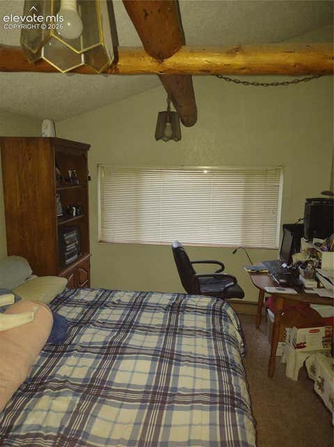 Tiny photo for 402 N Maple Street, Woodland Park, CO 80863 (MLS # 5776160)
