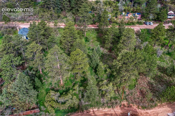 VIRGINIA AVENUE, PALMER LAKE, CO 80133 - Image 6528a9c93280d5fc2e2adccfe9ab8c30/2581556725