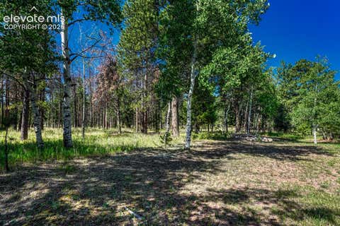 Tiny photo for 115 Hawkridge Drive, Woodland Park, CO 80863 (MLS # 2918334)