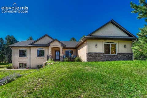 Photo of 115 Hawkridge Drive, Woodland Park, CO 80863 (MLS # 2918334)