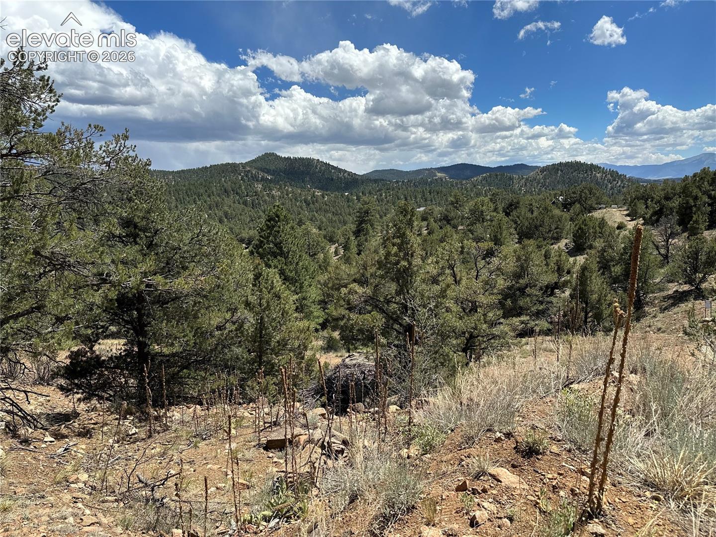 2973 Driftwood Road