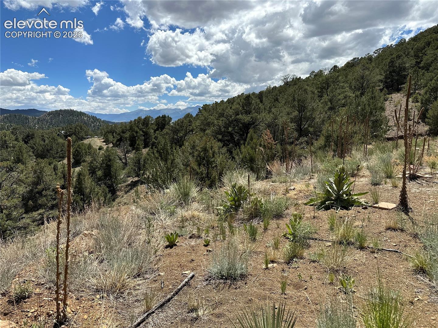 2973 Driftwood Road