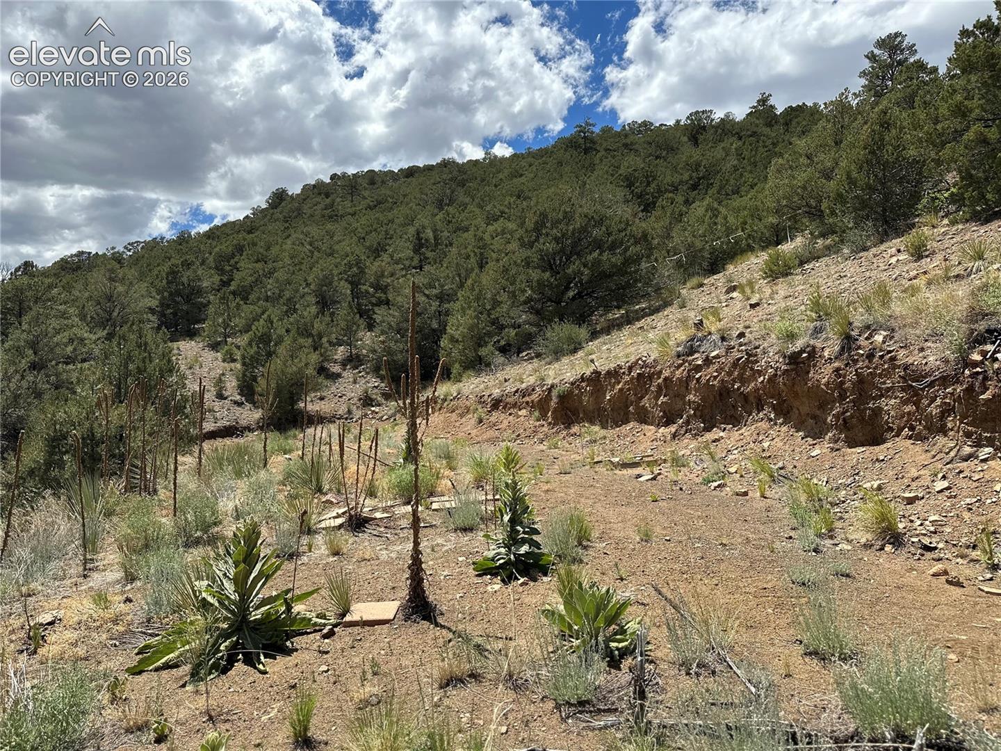 2973 Driftwood Road