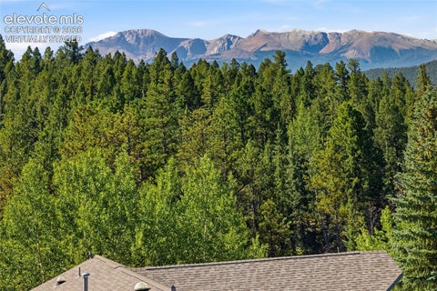Tiny photo for 449 Oxford Lane, Woodland Park, CO 80863 (MLS # 9294169)
