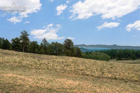 Photo of 954 County Road 403, Guffey, CO 80820 (MLS # 5199168)