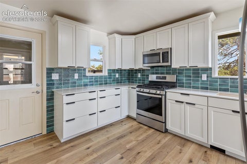 Tiny photo for 192 Columbine Road, Florissant, CO 80816 (MLS # 4696670)