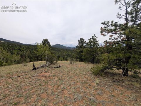 Photo of 16 Princess Lane, Cripple Creek, CO 80813 (MLS # 5714752)