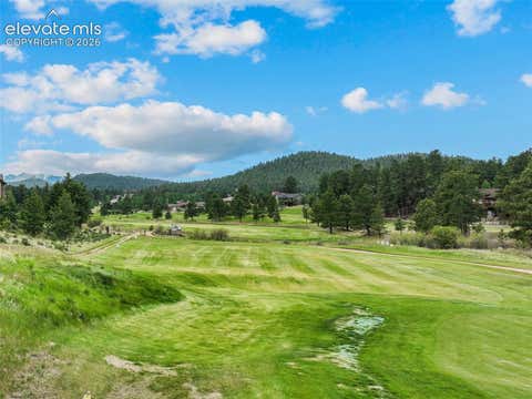 Tiny photo for 1350 Longs Point, Woodland Park, CO 80863 (MLS # 6153595)