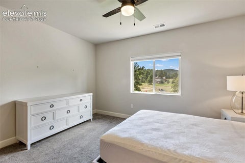 Tiny photo for 1350 Longs Point, Woodland Park, CO 80863 (MLS # 6153595)