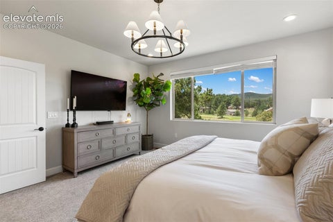 Tiny photo for 1350 Longs Point, Woodland Park, CO 80863 (MLS # 6153595)