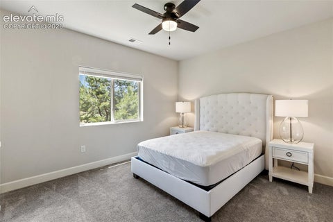 Tiny photo for 1350 Longs Point, Woodland Park, CO 80863 (MLS # 6153595)