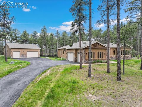 Photo of 16104 Pole Pine Point, Colorado Springs, CO 80908 (MLS # 9441798)