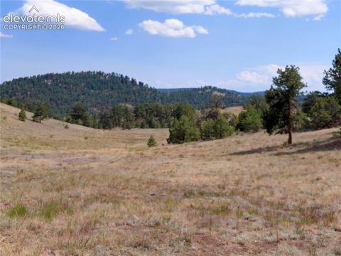 Photo of 70 Owls Nest Road, Guffey, CO 80820 (MLS # 7270995)