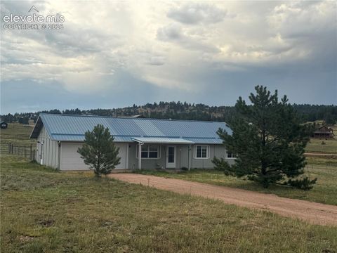 Photo of 17 Garfield Circle, Florissant, CO 80816 (MLS # 5737725)