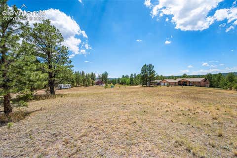 Photo of 91 Adair Circle, Florissant, CO 80816 (MLS # 8428438)